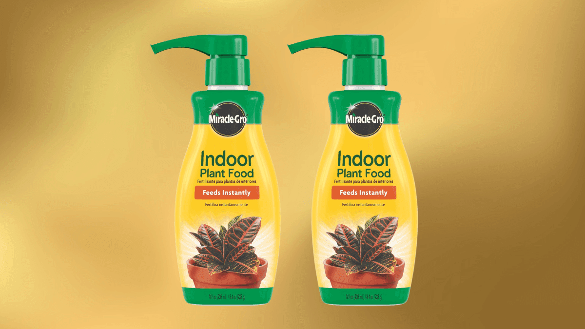 Miracle-Gro Indoor Plant Food Review — Easy Liquid Fertilizer for Healthy Houseplants