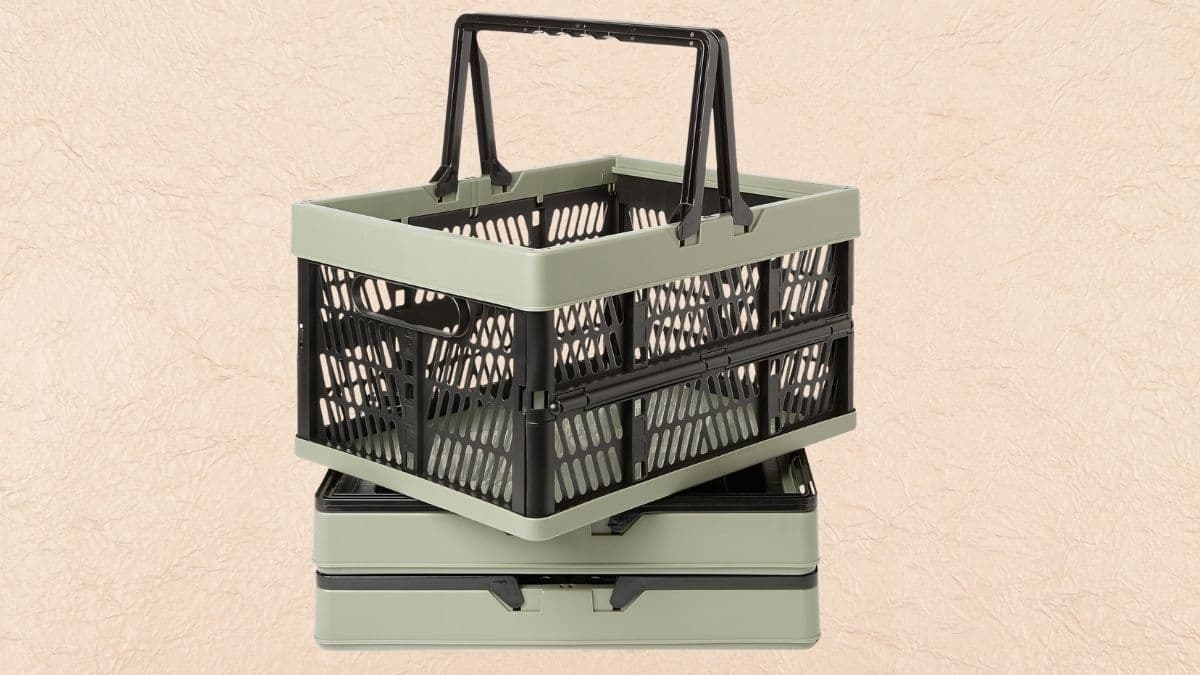 Amazon Basics Collapsible Grocery Baskets: Practical Storage That Works With Your Lifestyle
