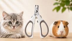 Stainless Steel Cat Nail Clippers: An Essential Grooming Tool for Every Pet Owner