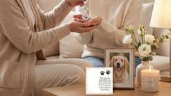Carry Your Pet’s Memory Everywhere With the Japrex Pet Hair Keepsake